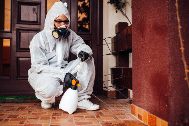 Attic and Crawl Space Rodent Treatment in Lake California